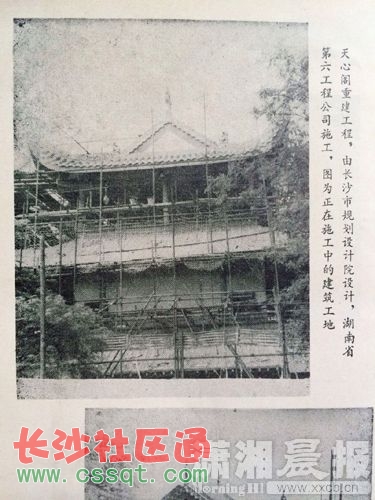 w.jpg